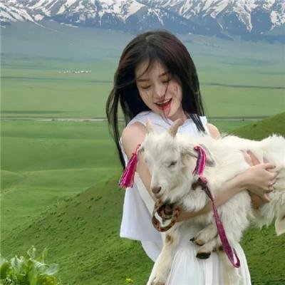 海豚伯尼2